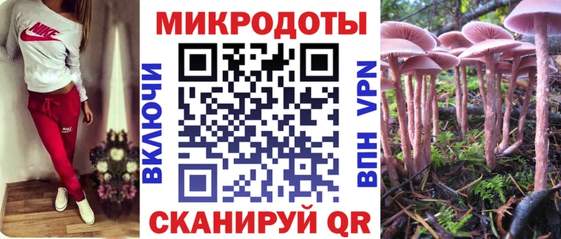 Псилоцибиновые грибы Cubensis Бикин